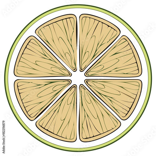 Stylized illustration of a juicy lime slice with visible segments and green rind