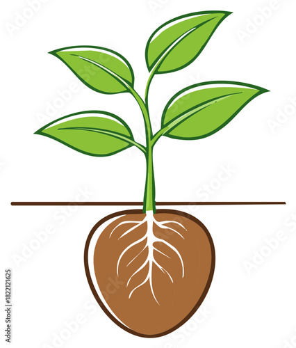 Simple vector illustration of a green plant sprout with roots growing in the soil