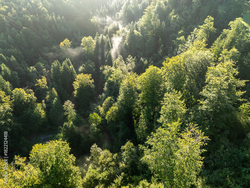 Aerial view of remote and tranquil valley with forest in morning sunlight with fog. Bright sunny summer day in Europe.