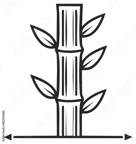 Vector icon of a bamboo stalk with leaves and a width measurement arrow