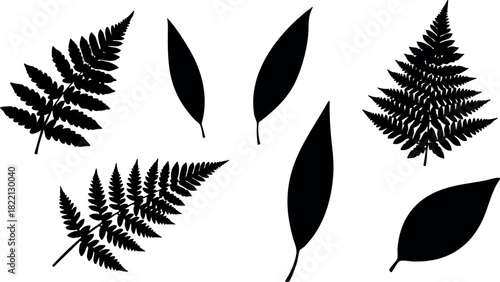 Black silhouette fern and leaf vector set isolated on white background natural leaf shapes simple design