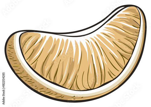 Graphic Illustration of a Citrus Fruit Segment, a Slice of Fresh Orange in Digital Hand Drawn Style, Single Fruit Piece Isolated