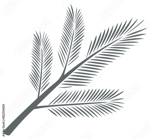 Palm frond branch gray vector illustration, tropical leaves drawing design