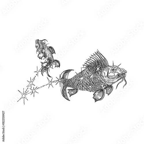 Zodiac constellation of Pisces, astrological sign