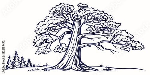Sequoia giant tree line art modern