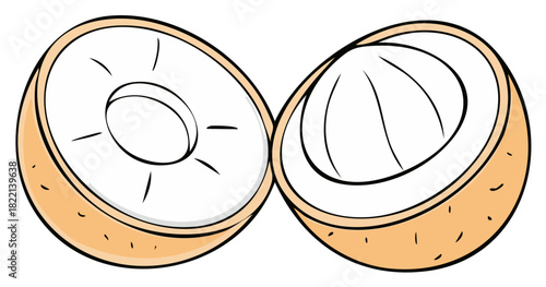 Freshly sliced tropical longan or lychee fruit halves showing inner pulp and seed illustration