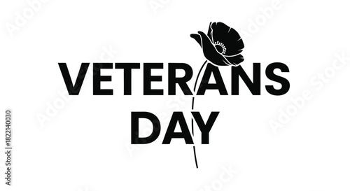 Veterans Day is a solemn holiday honoring military veterans.