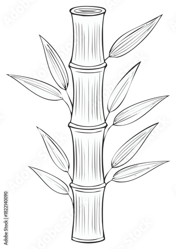 Stylized Line Art Bamboo Stalk with Leaves
