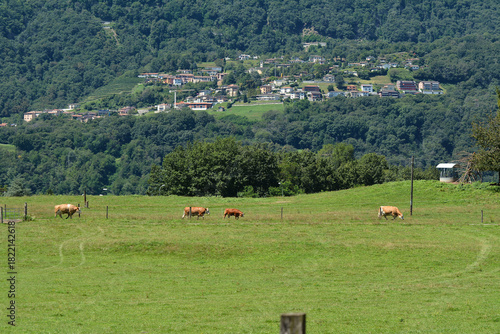 Il villaggio di Bosco Luganese in Canton Ticino, Svizzera.
