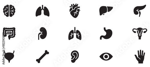 Human organ, anatomy icon set. Vector glyph pictograms of brain, heart, lungs, liver, stomach, intestine, kidney medical, healthcare, and biology concept black silhouette illustration. EPS 10