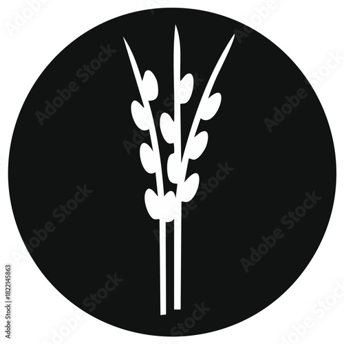 White pussy willow branches icon in black circle minimalist spring vector graphic