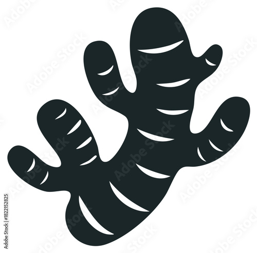 Stylized ginger root silhouette simple flat vector graphic icon
