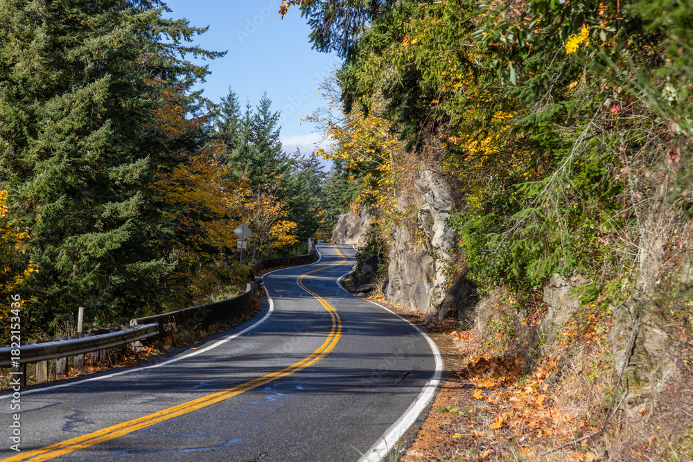 Fototapeta premium road in autumn