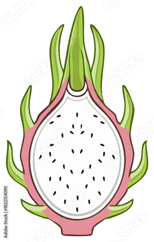 Fresh exotic dragon fruit sliced in half showing white pulp and black seeds vector illustration