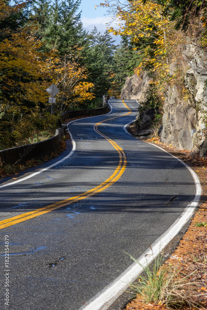 Fototapeta premium road in autumn