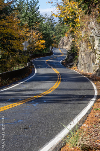 road in autumn