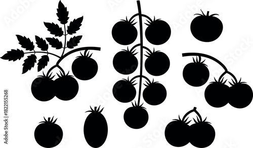 Tomato silhouette. Isolated tomato silhouette on white background