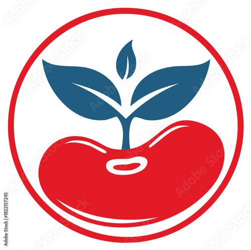 Seedling emerging from bean within red circle represents growth