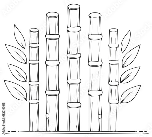 Stylized drawing of bamboo stalks and leaves with a hand drawn aesthetic