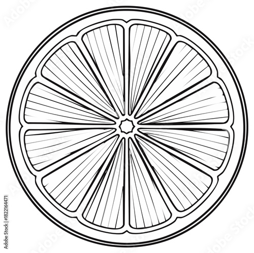Outline of a Citrus Fruit Slice with Radial Segments and Bold Outer Ring