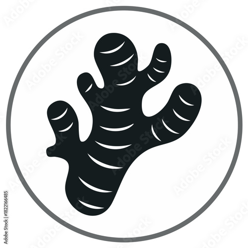 Ginger Root Graphic Icon Silhouette Black and White Vector Circle