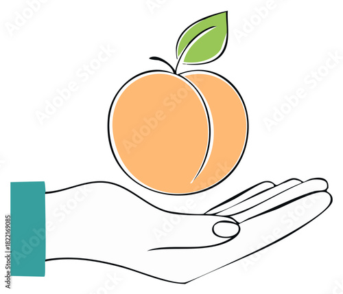 Hand holding a peach, minimalist illustration, fruit presentation, healthy food concept