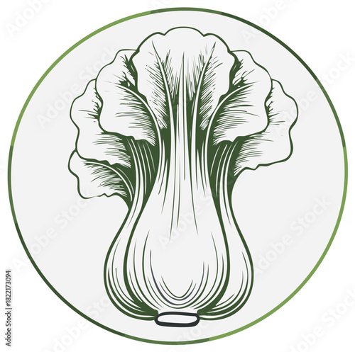 Botanical illustration of fresh bok choy inside a green circle emblem