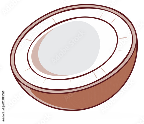 Fresh coconut half illustration cartoon drawing tropical fruit food ingredient healthy summer