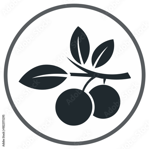 Berry fruit silhouette on leafy branch circular frame simple vector design
