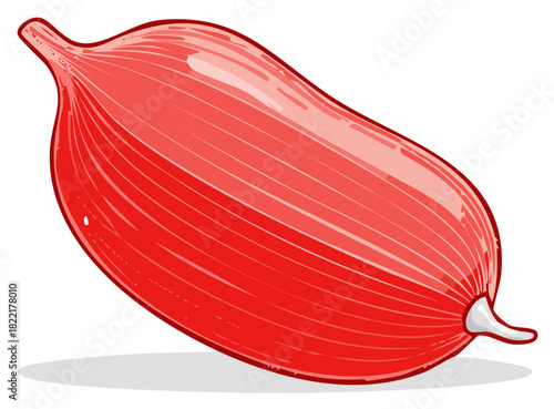 Illustration of a red human muscle fiber bundle with striations