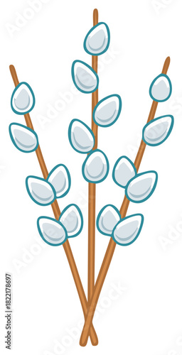 Spring pussy willow branches with soft white buds and green outlines