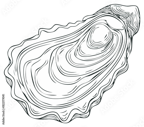 Elegant line art drawing of a fresh open oyster on the half shell a gourmet seafood delicacy