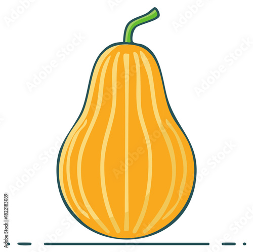 Isolated illustration of a butternut squash in a flat design style