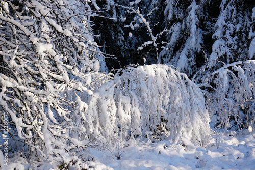 Wunderschöne Winterlandschaft im Hils ein Mittelgebirgszug bei Delligsen in Niedersachsen 
