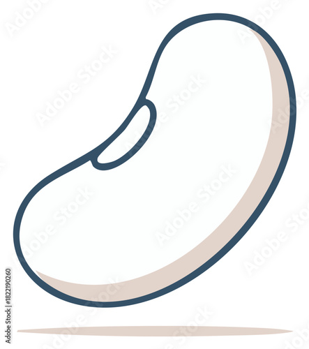 Single white kidney bean, a staple food, vector line drawing, simple and modern, used in agricultural designs
