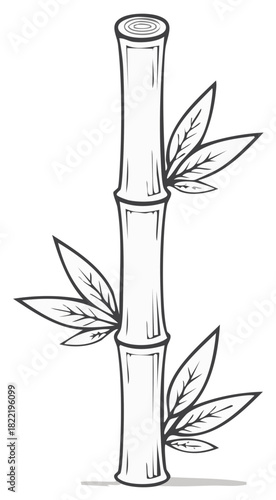 Elegant graphic illustration of a single bamboo plant stalk with delicate leaves minimalist vector drawing