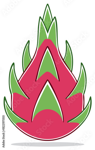 Pink and green stylized dragon fruit illustration with graphic outline