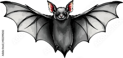 Vector illustration of a bat.