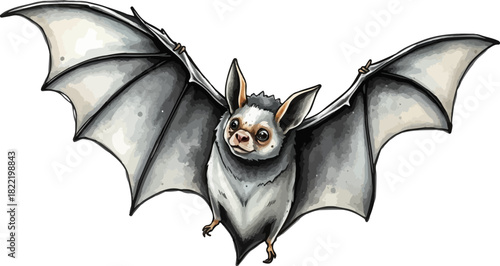 Vector illustration of a bat.