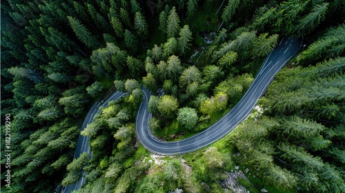 Overhead drone shot of sharp s-curve road snaking through lush green mountain spruce forest