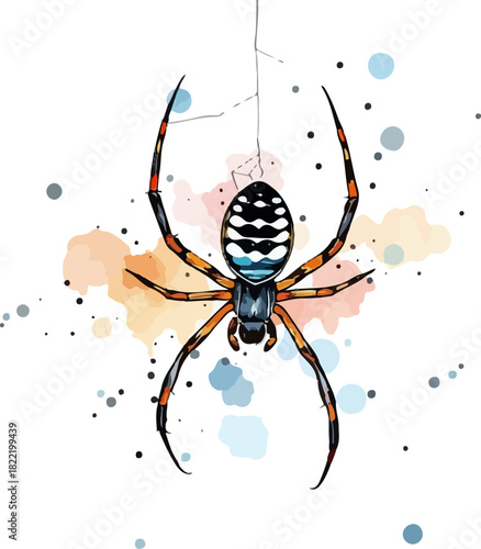Vector illustration of the spider on the web.