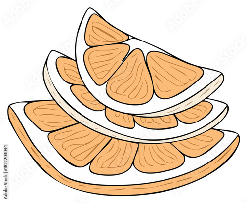 Stacked Citrus Slices Fresh Fruit Healthy Food Ingredient Vitamins Illustration