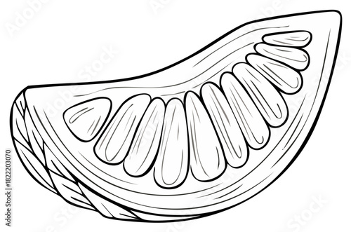 Illustration of a cross-section of a jackfruit showing the arils and the outer skin in black and white