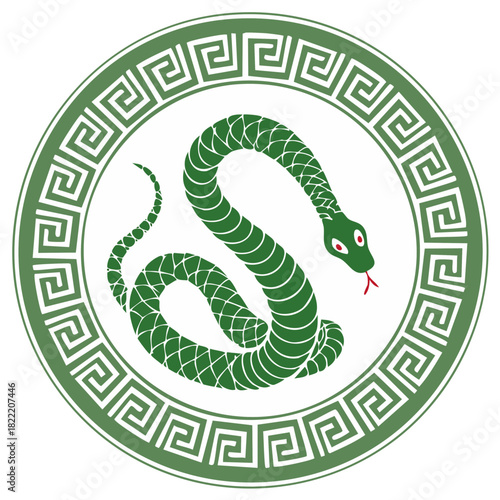 Green coiled serpent with red eyes and forked tongue inside a Greek key border