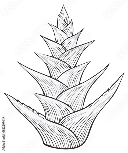 Organic layered plant illustration vector art clean natural botanical drawing