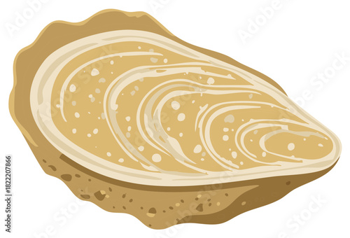 Illustration of an Oyster Shell with Creamy Swirls