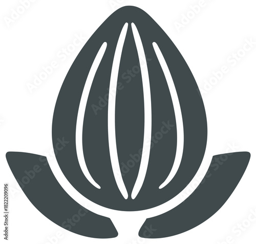 Stylized Almond Seed with Shell Minimalist Shape for Creative Concepts and Iconography