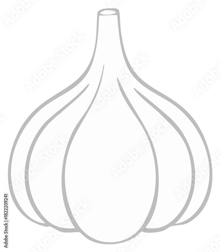 Elegant Garlic Bulb Illustration with a Delicate Outline in Light Gray Tones