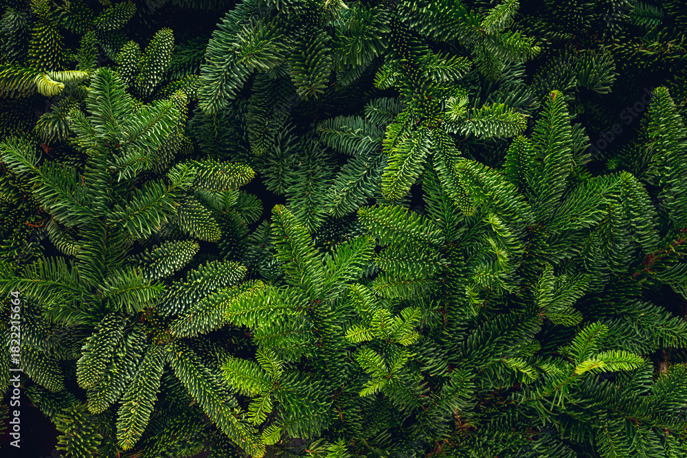 image to crop
