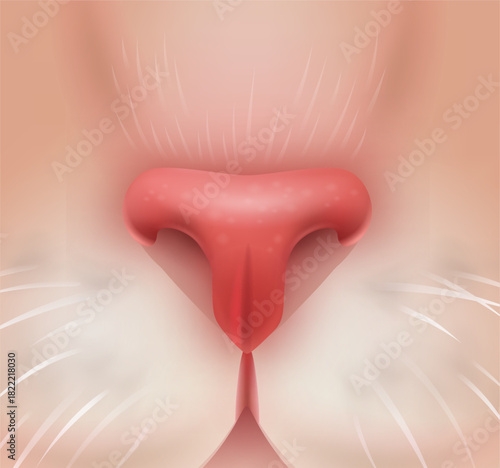 Cat nose realistic pet face sniff element